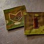 Image result for Air Force First Lieutenant Bars