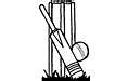 Image result for Cricket Label