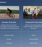 Image result for Anaerobic versus Aerobic Exercise
