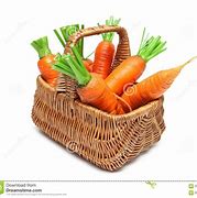 Image result for Carrot Basket