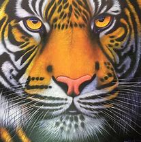 Image result for tiger paintings