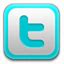 Image result for Twitter Web Button