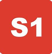 Image result for S1 Icon