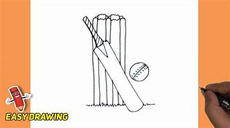 Image result for Cricket Set Skecht