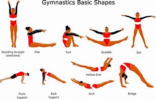 Image result for Gymnastic Poses Names