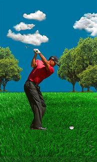 Image result for Tiger Woods EA Sports Wallpaper