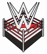 Image result for WWE Wrestlers Costume