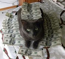 Image result for Rich Cat Meme