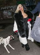 Image result for Cardi B Dog Costume