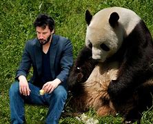 Image result for Keanu Reeves Bench Meme