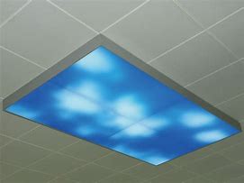 Image result for Flat Panel LED Lights