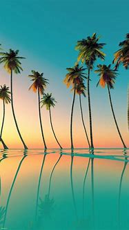 Image result for Aesthetic Palm Tree Wallpaper for Laptop