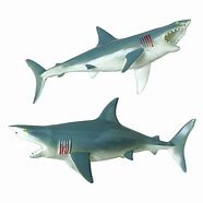 Image result for Squeaky Shark Toy