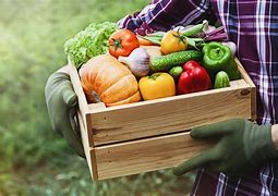 Image result for Local Sustainable Food