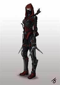 Image result for Female Ninja Assassin