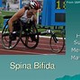 Image result for Types of Spina Bifida Occulta