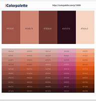 Image result for Plain Pink Color