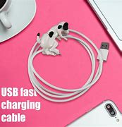 Image result for iPhone Fast Charger Cord White 30W