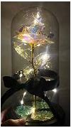 Image result for Galaxy Rose Dome