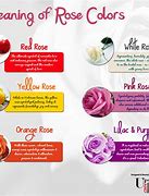 Image result for Rose Pink Colour