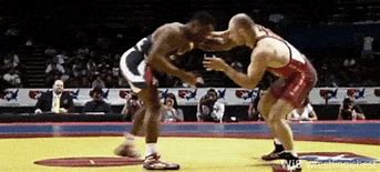 Image result for Animated Wrestling Moves