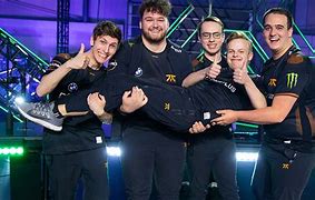 Image result for Fnatic Team