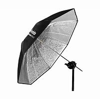 Image result for Silver vs White Umbrella Photography