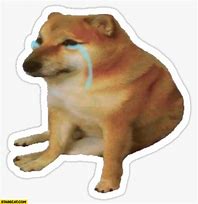 Image result for Funny Much Cry Dog Meme