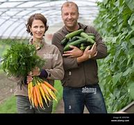 Image result for Fruit and Vegetables Farming