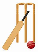 Image result for Cricket Bat and Wickets Animated