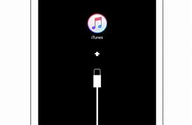 Image result for iPhone Got Disabled