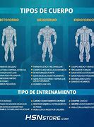 Image result for Los 3 Tipos De Cuerpo