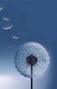 Image result for The Samsung Galaxy S4 Dandelion