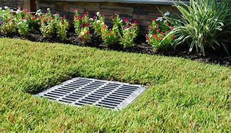 Image result for Sewer Drain in BackYard