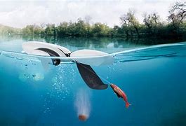 Image result for Drone Animal