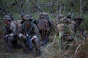 Image result for Us Special Forces Recon Marines