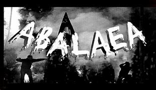Image result for abalaea