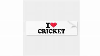 Image result for Cricket Sticker Images