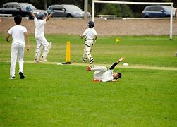 Image result for Cricket Academy Blur Image