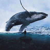 Image result for Whale Wallpaper Phone Aesthetic 4K