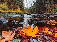 Image result for Autumn Sights