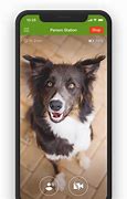 Image result for iPhone 5 PhoneDog