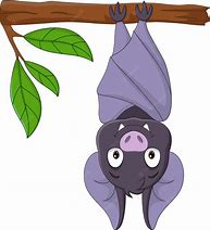 Image result for Hanging Bat Art