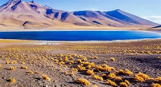 Image result for Atacama Desert Chile