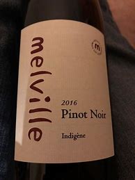 Image result for Melville Pinot Noir Indigene
