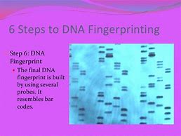 Image result for Finger Printing Application Form for Section 4 Officials