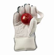 Image result for Cricket Wicket keeper Gloves