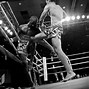 Image result for Muay Thai Combos