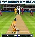 Image result for Next Cricket World Cup
