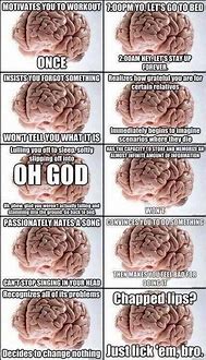 Image result for Information. Brain Meme
